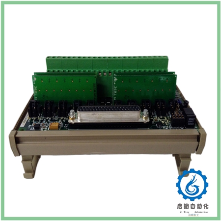 IS200DTAIH1ACC IS210DTAOH1AA -4_副本 IS200DTAIH1ACC IS210DTAOH1AA -4_副本