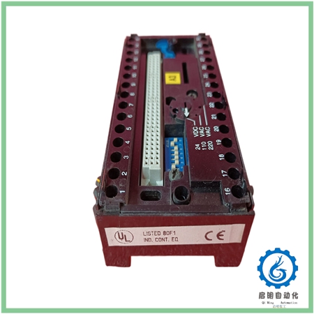 CS31 (3)_副本 CS31 (3)_副本