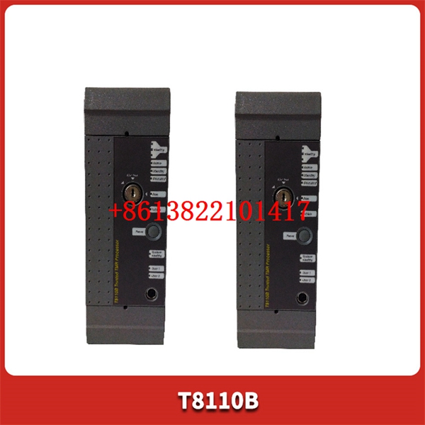 T8110B.3 T8110B.3