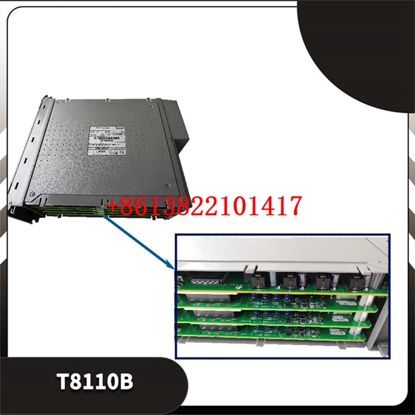 T8110B(1).3 T8110B(1).3