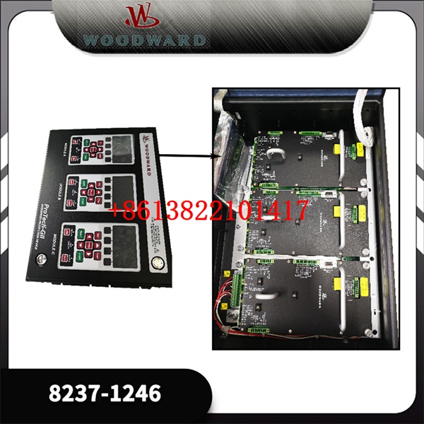 WOODWORD 8237-1246.2 WOODWORD 8237-1246.2