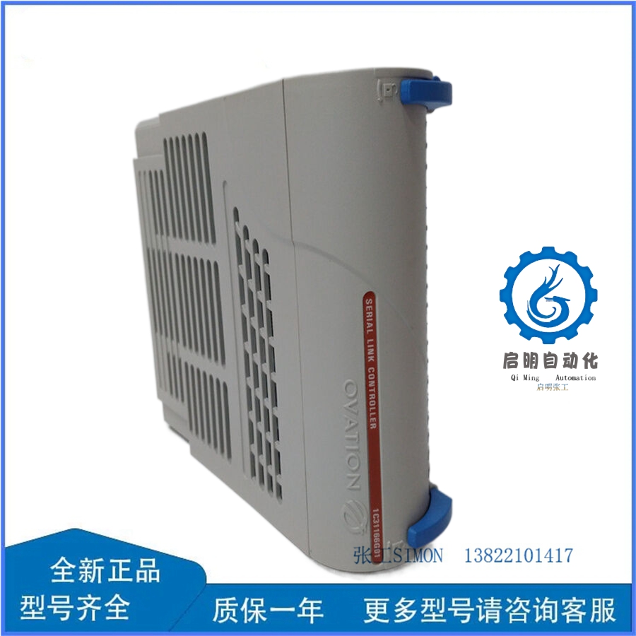 1C31166G01_副本 1C31166G01_副本